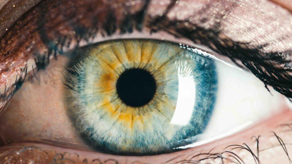 Oeil gros plan