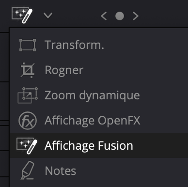 Affichage Fusion DaVinci Resolve