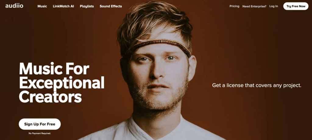 Plateforme de musique Audiio