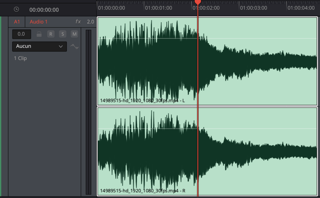 Hauteur pistes audio timeline
