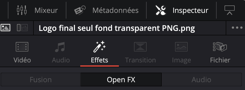 Onglet Inspecteur