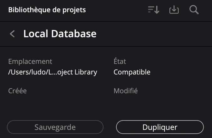 Local Database DaVinci Resolve