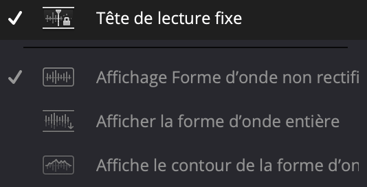 Tête de lecture fixe