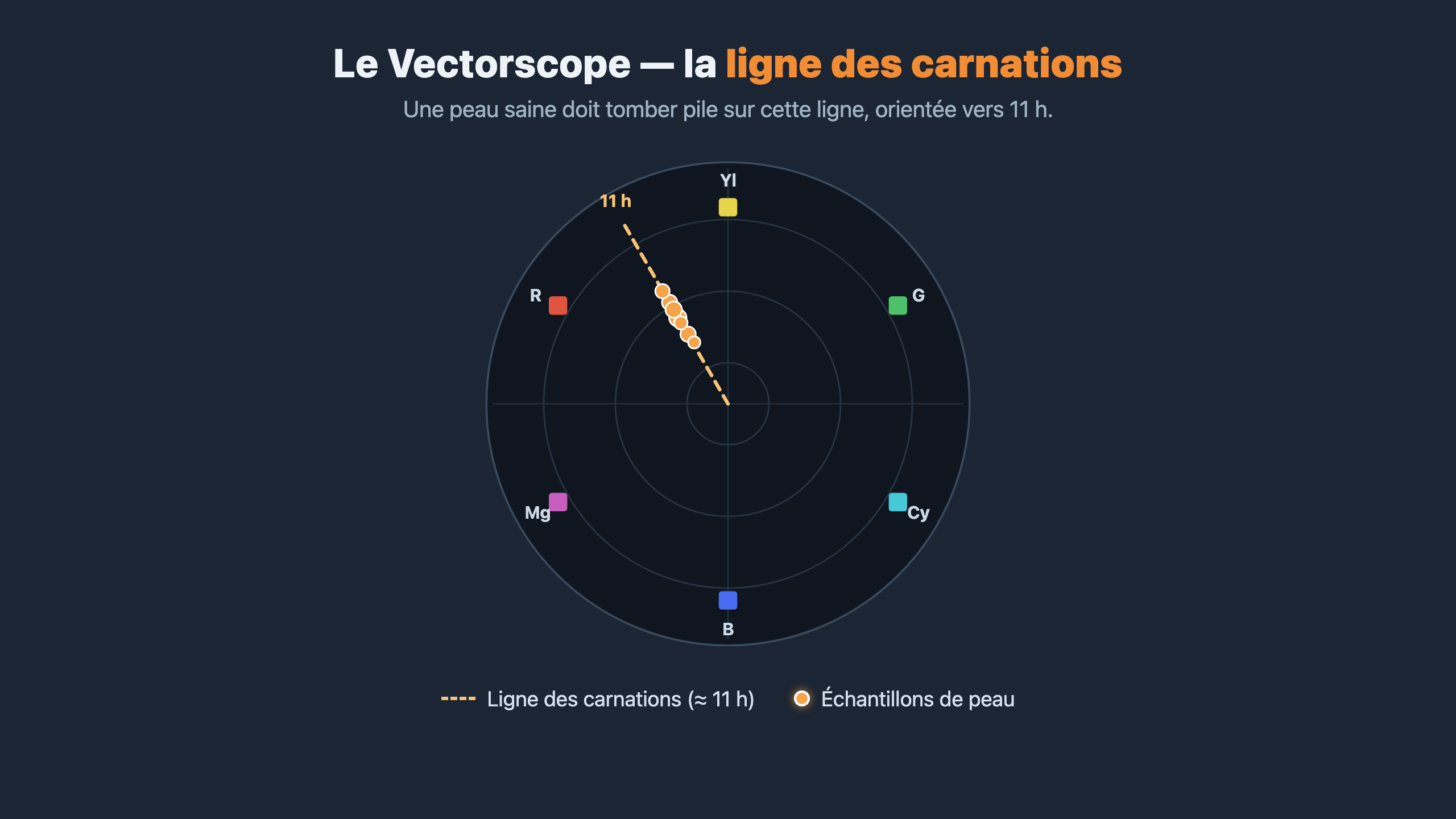 Vectorscope de DaVinci Resolve : la ligne des carnations orientée vers 11 heures